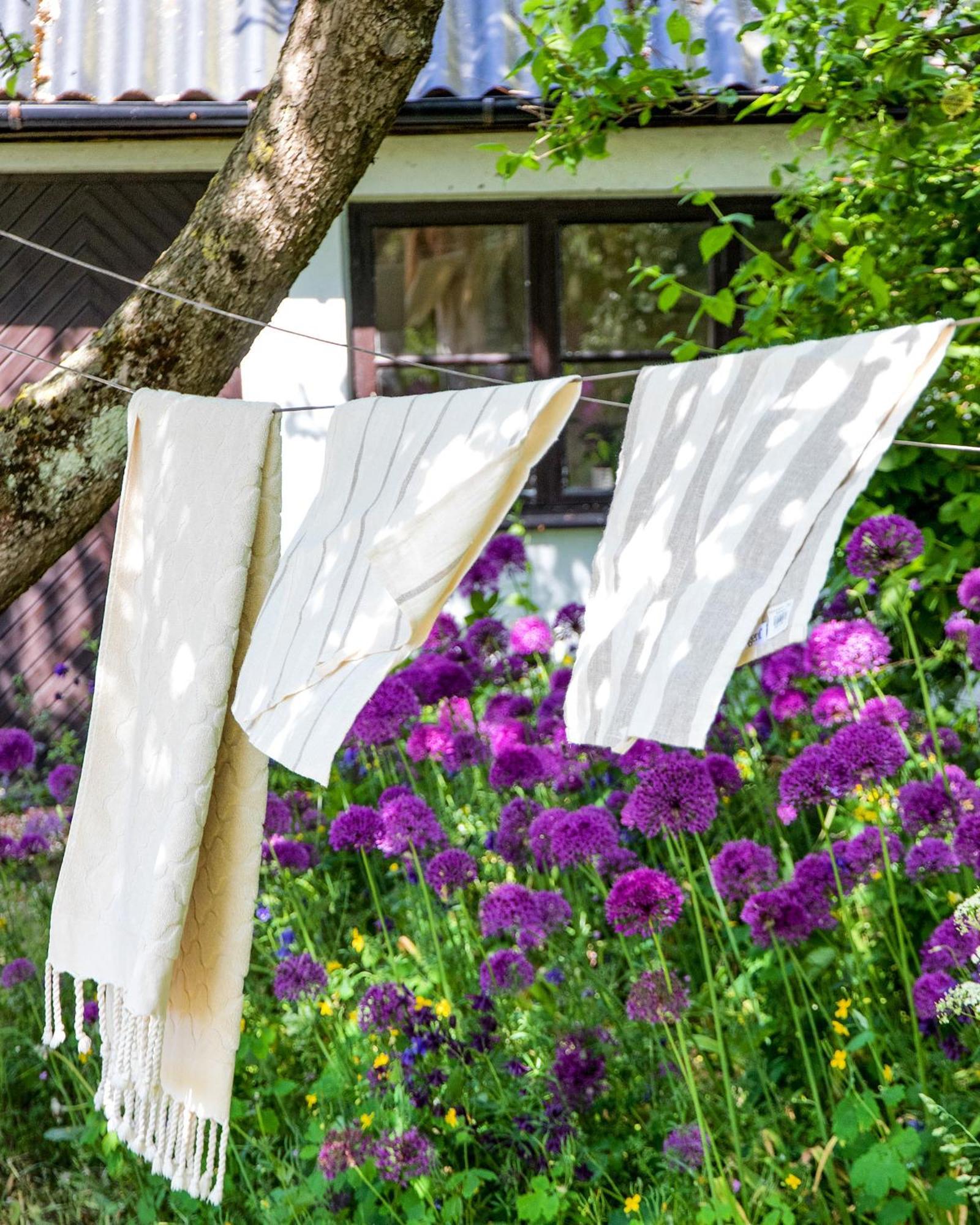 Villa Verde Oesterlen Glemminge エクステリア 写真